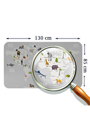 Eğitici Dünya Haritası Dünya Atlası Çocuk ve Bebek Odası Duvar Sticker-85x130-3790