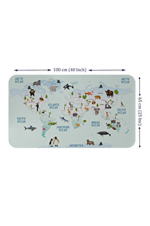 Eğitici Dünya Haritası Dünya Atlası Çocuk ve Bebek Odası Duvar Sticker-60x105-3796