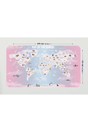 Eğitici Dünya Haritası Dünya Atlası Çocuk ve Bebek Odası Duvar Sticker -60x105-3801
