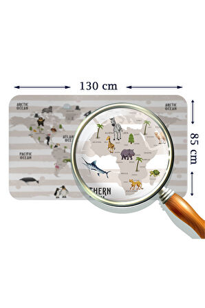Eğitici Dünya Haritası Dünya Atlası Çocuk ve Bebek Odası Duvar Sticker-85x130-3803