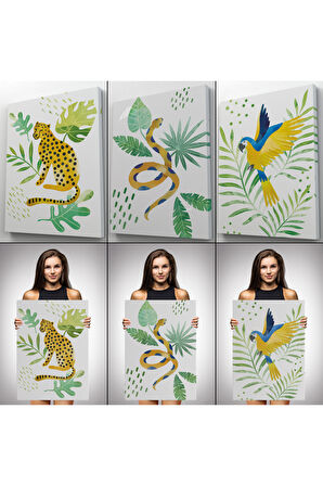 3’lü Tablo Vahşi Hayvanlar Temalı Takım Dekoratif Şık ve Modern Duvar Tablo Seti-AY-24