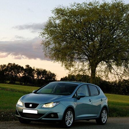 MCAR Çiftli Cam Açma Düğmesi Krom Seat Ibiza 2009-2012 5K3959857A