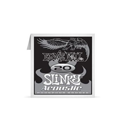 ERNIE BALL P01820 .020 Earthwood Fosfor Bronz Sargılı Akustik (Tek Tel)