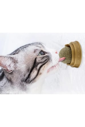 4 Adet Kedi Otu Oyun Topu – Çift Taraflı Bantlı Yapışkan Kedi Oyuncağı, Catnip Ball, Kedi Oyunu