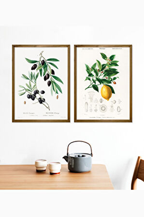 Vetro Design Zeytin - Limon Ahşap Çerçeveli Tablo Set (30x40 cm)