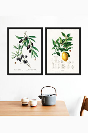 Vetro Design Zeytin - Limon Ahşap Çerçeveli Tablo Set (30x40 cm)