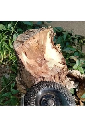 4 Adet Ahşap Eğe Diski – Titanyum Kaplamalı Ahşap Oyma, Şekillendirme Ve Zımparalama Diski, Wood Carving Grinding Disc