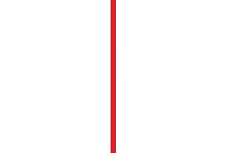 Delux Serisi CBK-50 Red Antreman Çubuğu 50 cm Kırmızı Antrenman Destek Aktif