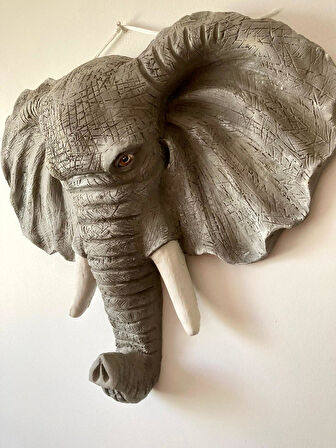 Fil Duvar Büyük Biblo