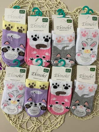 Ekinoks Aforeen Asorti Dikişsiz Kız Çocuk Patik Çorap 12li Set 2848