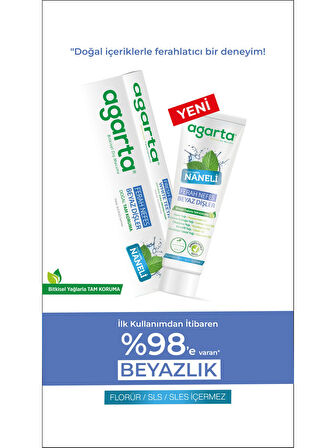 Agarta Doğal Diş Macunu 100ML Naneli (5 Li Set)