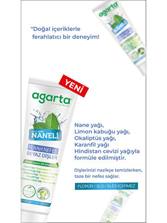 Agarta Doğal Diş Macunu 100ML Naneli (12 Li Set)