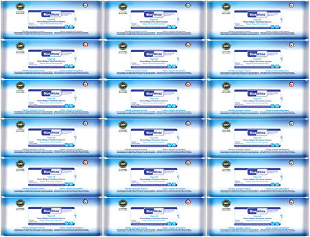 BlueWhite Yetişkin Hasta Perine Bölgesi Temizleme Mendil-Havlusu (18 li set) 50 Yaprak Hijyenik