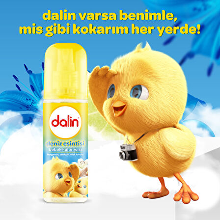 Dalin Bebek Kolonyası 150ML Deniz Esintisi (Bergomat-Zambak-Misk Kokulu) (9 Lu Set)