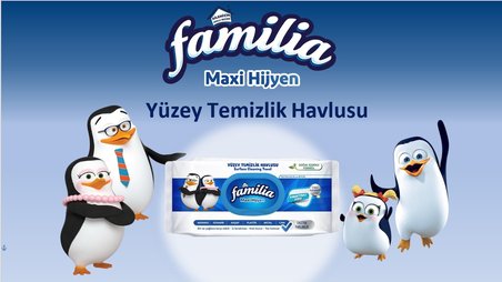 Familia Yüzey Temizlik Havlusu 96 Yaprak Maxi Hijyen Kabartma Doku Plastik Kapaklı 12Li Set 1152 Ypk