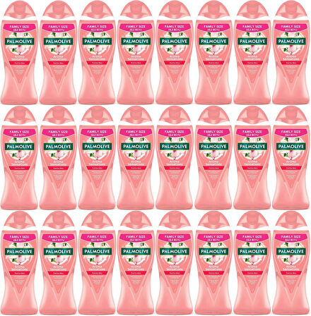 Palmolive Duş Jeli 750ML Aroma Sensations/Aroma Duyguları (24 Lü Set)