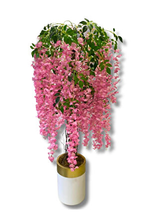 Pembe Akasya 175 Cm Yapay Ağaç 30x30 Gold Kemerli Saksı
