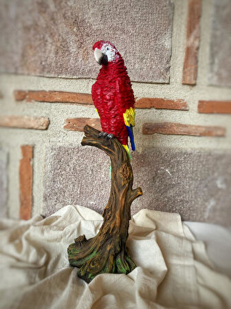 Papağan Macaw Biblo Dekor