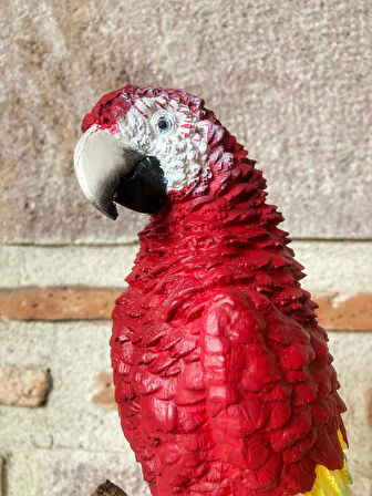 Papağan Macaw Biblo Dekor
