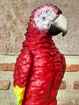 Papağan Macaw Biblo Dekor