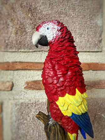 Papağan Macaw Biblo Dekor