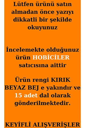 Pamuk Otu Lagurus Demet 15 Dal Tavşan Kuyruğu Kurutulmuş Çiçek Vazo Süsü 20-30 cm Arası