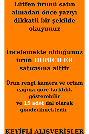 Pamuk Otu Lagurus Demet 15 Dal Tavşan Kuyruğu Kurutulmuş Çiçek Vazo Süsü 20-30 cm Arası