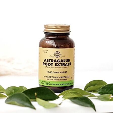 Solgar Astragalus Root 60 Kapsül 2 Adet