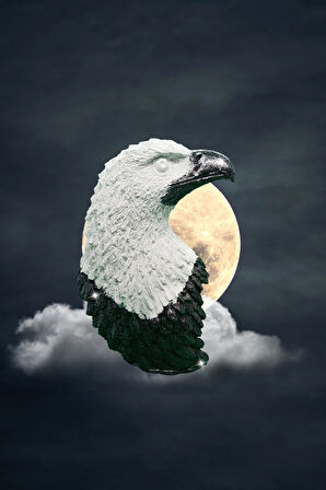 Parlak Black Kartal