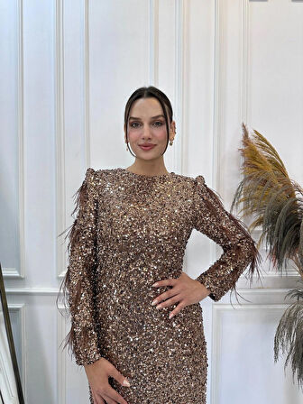 Pulpayet Abiye Shine