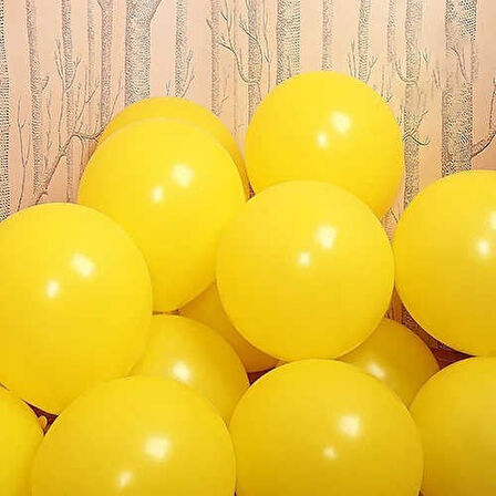 PASTEL BALON SARI 10 ADET
