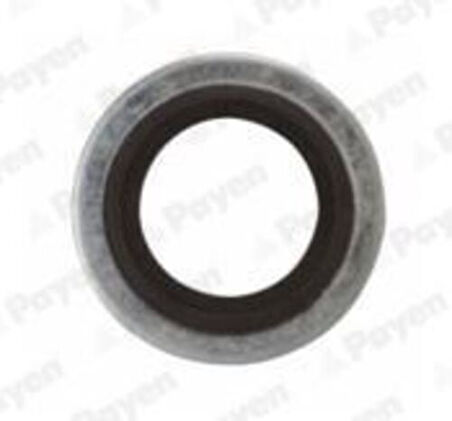 Payen Pb852 Yağ Bosaltma Tapa Contası Clıo I-R21-Master I-P106-P206-P306-P407-C2-C3-C4-C5-Saxo-Xsara-Zx