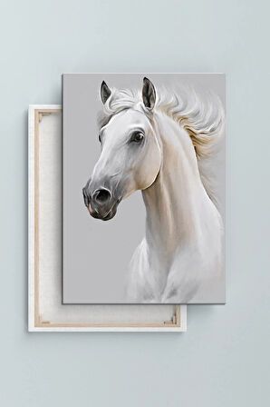 Beyaz Asil At Hayvan Sanatsal Dekoratif Kanvas Tablo (8 Farklı Ölçü)