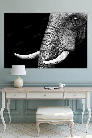 Fil Hayvanlar Alemi Dekoratif Kanvas Tablo