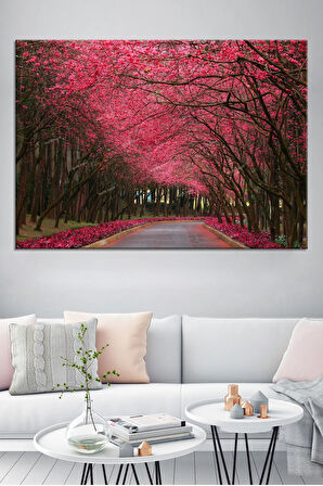 Kiraz Çiçekli Yol Manzara Doğa Tabiat Kanvas Tablo