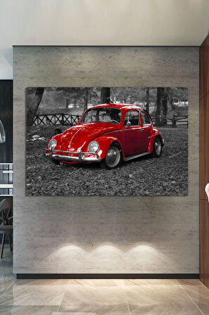 Kırmızı Vosvos Dekoratif Kanvas Tablo