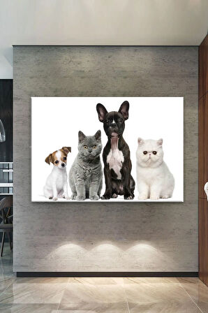 Sevimli Patiler Kediler Köpekler Dekoratif Kanvas Tablo