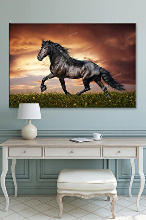 Asil Siyah Rahvan At Kanvas Tablo