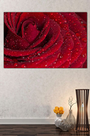 Kırmızı Gül Su Damlacığı Çiçek Dekoratif Kanvas Tablo