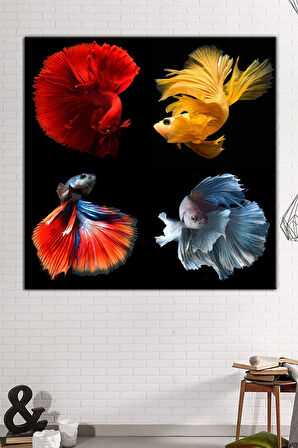 Renkli Balıklar Kanvas Tablo