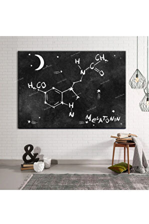 Grabovoi Meletonin Aşk Mutluluk Formülü Yaşam Çiçeği Kanvas