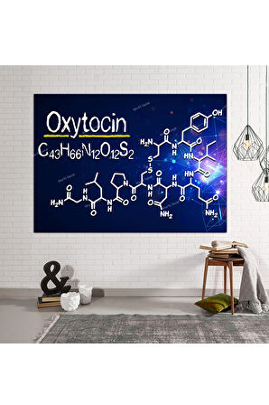 Oksitosin Oxytocin Kutsal Geometri Yaşam Çiçeği Tablo