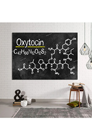 Grabovoi Oksitosin Oxytocin Kutsal Geometri Yaşam Çiçeği Tablo