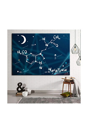 Grabovoi Meletonin Aşk Mutluluk Formülü Yaşam Çiçeği Kanvas Tablo