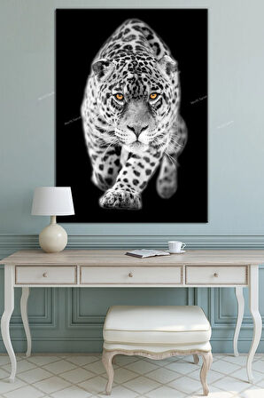 Kaplan Hayvanlar Alemi Kanvas Tablo