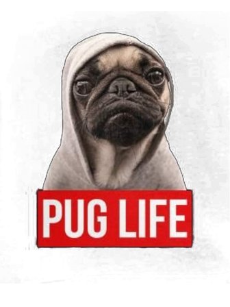 Kadın Oversize Tişört Pug Baskılı Rahat Kesim Günlük Giyim Komik Köpek Tasarımı Modern Şık Konforlu
