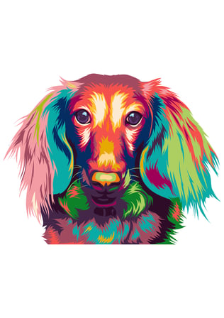 Kadın Oversize Tişört Pop Art Köpek Portresi Dijital Baskı Neon Renkli Sanat Tasarımı Günlük Rahat