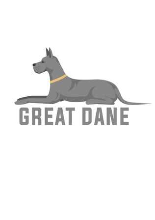 Kadın Oversize Tişört Büyük Dane Köpek Baskılı Rahat Kesim Kısa Kol Yuvarlak Yaka Günlük Giyim Şık