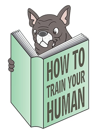 Erkek Grafik Baskılı Mizah Tişört Köpek Kitap Deseni Rahat Kesim Günlük Giyim Modern Şık Konforlu