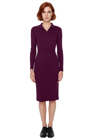 Kadın Triko Bodycon Midi Uzun Kol Polo Yaka Düz Elbise Şık ve Konforlu Kışlık Günlük Giyim
